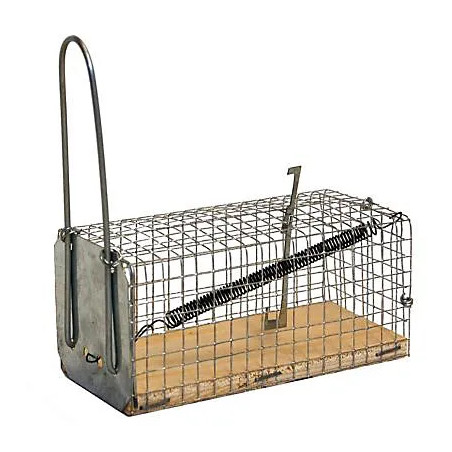 Single-entry galvanized mesh mouse trap with wooden base super soldes en ligne